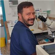 Insegnante di scienze o materie scientifiche come biologia, biologia molecolare, istologia